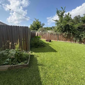 yard maintenance by El Jardin De Pedro reviewed on August 16, 2025