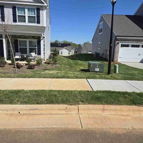 grass maintenance by E.B. Lawncare LLC reviewed on June 29, 2025