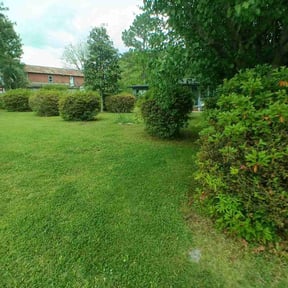 lawn care services by Mckinneys Lawn & Tree Care reviewed on May 17, 2021