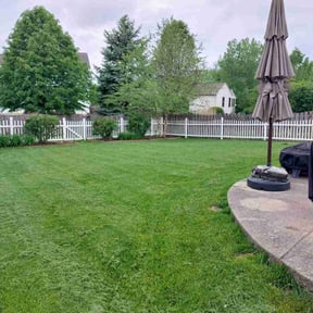 grass maintenance by Andrew James Property Maintenance reviewed on August 20, 2025