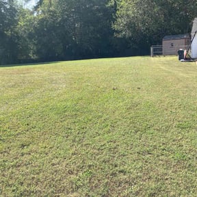 landscape maintenance by Franklin professional services reviewed on January 29, 2026