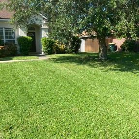 yard service by Castruita Lawn Service reviewed on August 21, 2025