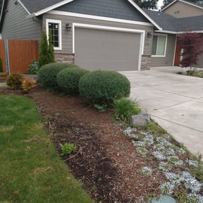 Bush Trimming by Andersen landscaping & Design reviewed on August 18, 2025