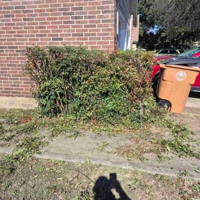 Bush Trimming by Lucy's Landscape reviewed on February 5, 2026