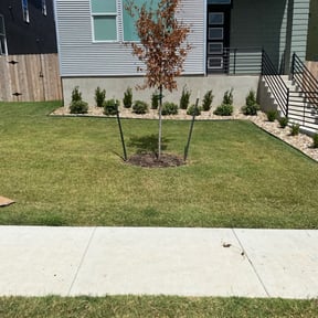 Flower Bed Weeding by Rubie's Lawn Care Services reviewed on August 20, 2025