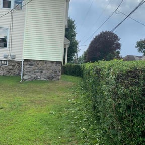 Bush Trimming by Snell mowing reviewed on October 20, 2025