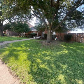 Bush Trimming by Spring lawn care reviewed on February 19, 2024