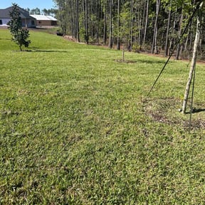 landscaping by MVP Lawn & Landscaping reviewed on August 15, 2025
