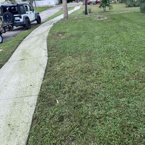 Flower Bed Weeding by J. Miller reviewed on October 23, 2025