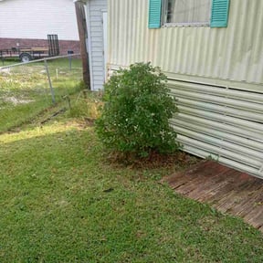 Bush Trimming by Miller Lawn Service reviewed on August 18, 2025