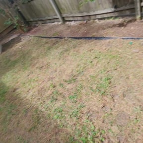 Leaf Removal by Buster Knuckles reviewed on August 19, 2025