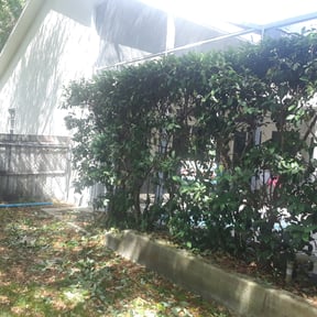 Bush Trimming by JR lawncare reviewed on August 20, 2025