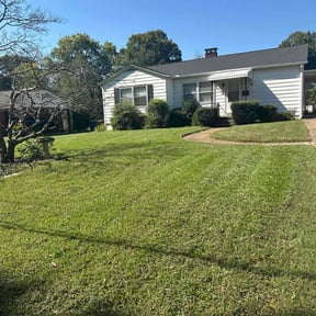 turf maintenance by Torres Transformations reviewed on June 10, 2025