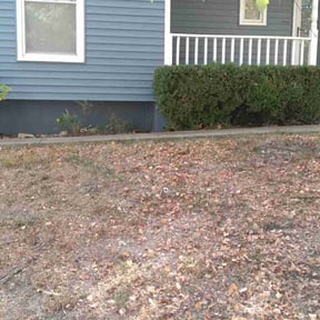 Bush Trimming by Roy's Mowing Services reviewed on August 21, 2025