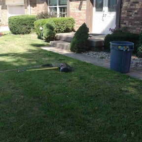 Bush Trimming by 4 You Landscaping LLC reviewed on October 19, 2025