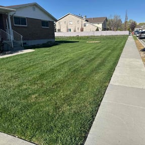 grass cutting by Jones Cleanup Removals and Rentals reviewed on July 13, 2025