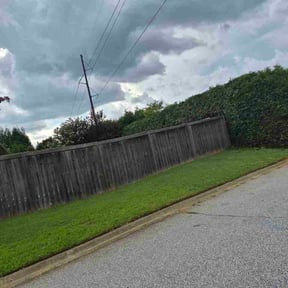 Bush Trimming by INDUSTRY56 LLC reviewed on July 17, 2026