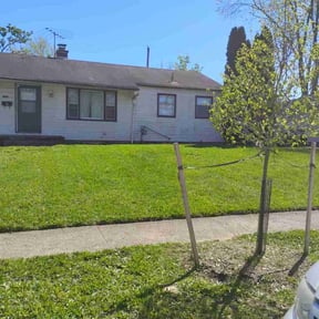 grass cutting by JEFC Landscaping reviewed on May 20, 2024