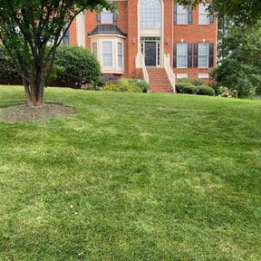 yard work by Southside Property Services LLC reviewed on November 24, 2025