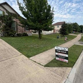 Leaf Removal by Quixfix and more reviewed on July 1, 2026