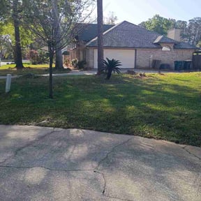 Leaf Removal by FLA Mowers LLC reviewed on July 11, 2026