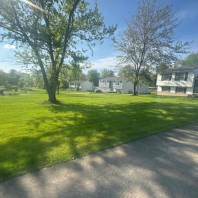 yard care by Accelerated Services reviewed on August 15, 2025