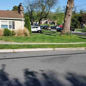 lawn service by Lawn services JAV reviewed on April 12, 2024