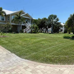 yard maintenance by Elite Lawn Service LLC reviewed on August 15, 2025