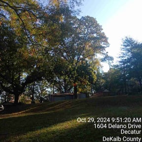 Leaf Removal by Active Property Care reviewed on August 21, 2025