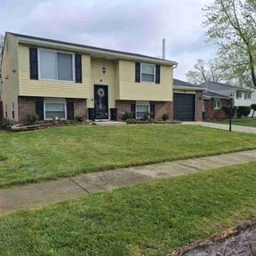 turf care by Lawn Care Now reviewed on July 18, 2019