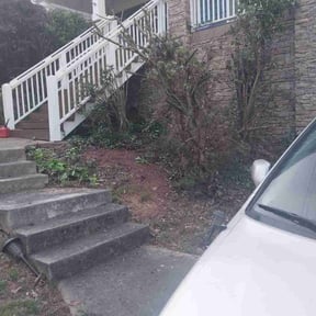 Bush Trimming by King's lawn care services reviewed on August 19, 2025