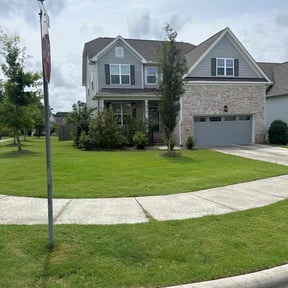 landscaping services by Mowr reviewed on August 16, 2025