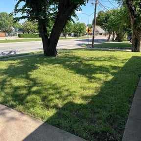 lawn service by Royalty Lawn and Garden INC reviewed on December 17, 2023