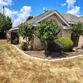 Bush Trimming by Cyber Ninja HTX reviewed on October 23, 2021