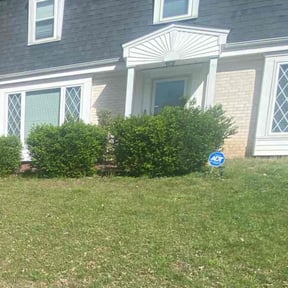 Bush Trimming by Honore Handyman and Plumbing Services reviewed on August 19, 2025