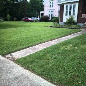 gardening service by LIGHTNING LANDSCAPING &amp; LAND MANAGEMENT reviewed on May 7, 2024