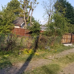 Bush Trimming by Rey's Lawn Care reviewed on August 19, 2025