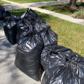 Leaf Removal by Rodriguez Landscape reviewed on September 8, 2025