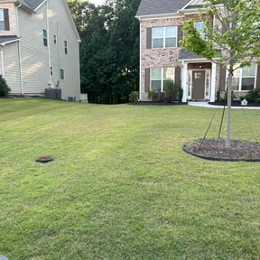 yard maintenance by Special Clips reviewed on August 17, 2025