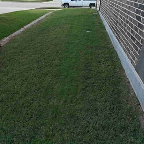residential landscaping by Dr. Lawns reviewed on August 16, 2025