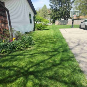 yard care by Mr. Mower reviewed on November 22, 2025