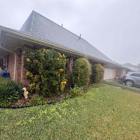 Bush Trimming by D3 lawncare reviewed on January 29, 2026