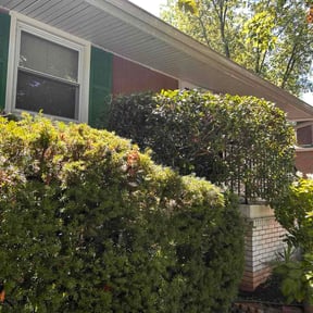 Bush Trimming by A-1 Curb Appeal reviewed on July 1, 2026