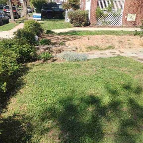 Flower Bed Weeding by DDE Landscaping reviewed on April 10, 2026