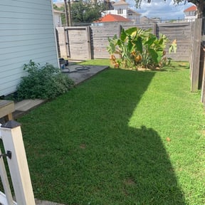 Bush Trimming by Dads Lawn Services reviewed on August 15, 2025