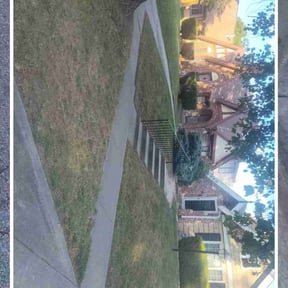 Leaf Removal by Lewis Yards &amp; Services reviewed on November 9, 2025