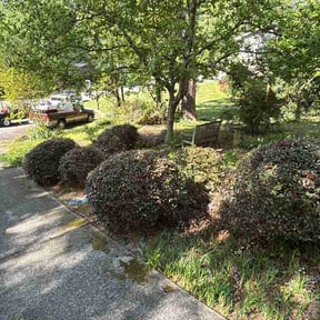 Bush Trimming by Peak Lawns LLC reviewed on April 15, 2026