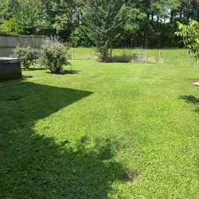 landscaping by Jacob Morgan Lawn Care reviewed on August 19, 2025