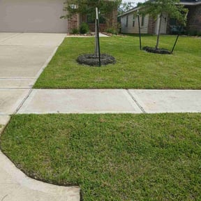 yard service by Demiteria Casey Mattox reviewed on August 16, 2025