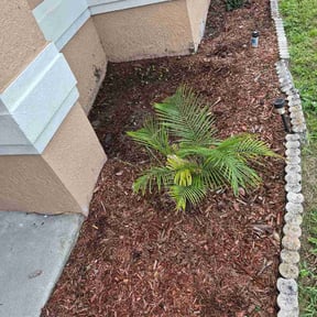 Flower Bed Weeding by DTE Maintenance Llc reviewed on October 9, 2026
